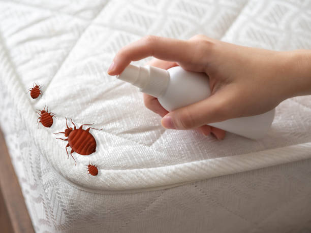 Best Residential Pest Control  in Altoona, IA